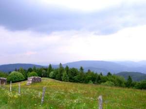 Landschaft im Elsass